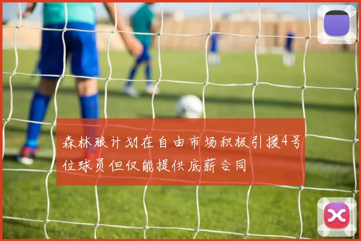 森林狼计划在自由市场积极引援4号位球员但仅能提供底薪合同